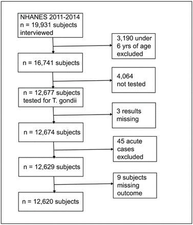 Fig 1.
