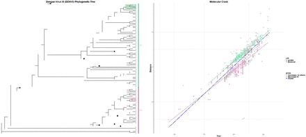 Figure 4:
