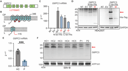 Figure 3: