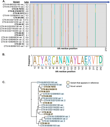 Figure 3: