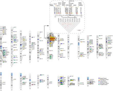 Fig. 2: