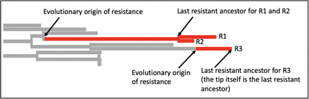 Supplementary figure 1.