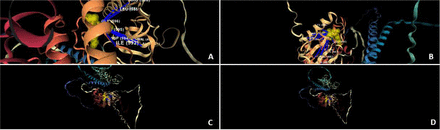 Figure 10:
