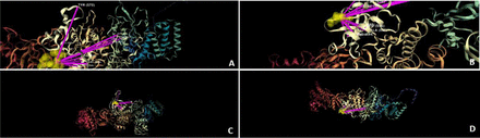 Figure 13: