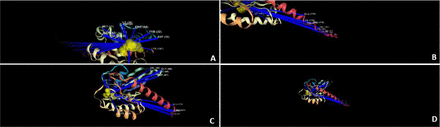 Figure 14: