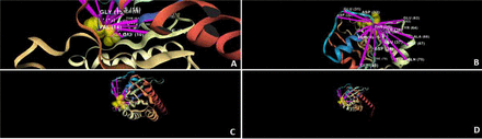 Figure 15: