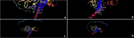 Figure 16: