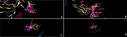 Figure 17: