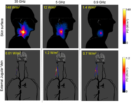 Fig. 12: