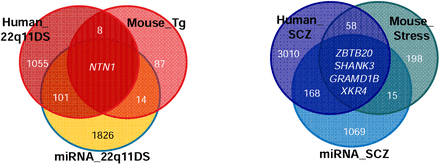 Figure 6: