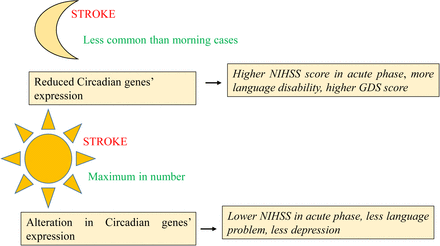 Figure 2: