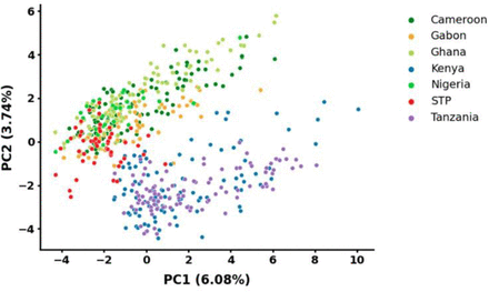 Fig. 6.