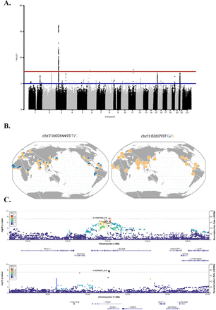 Figure 2.