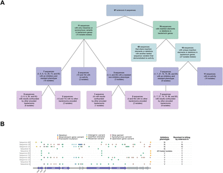 Figure 5: