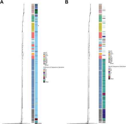 Figure 7: