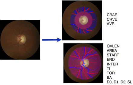 Fig. A2: