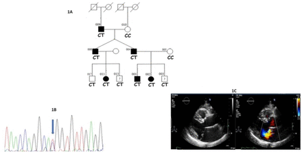 Figure 1: