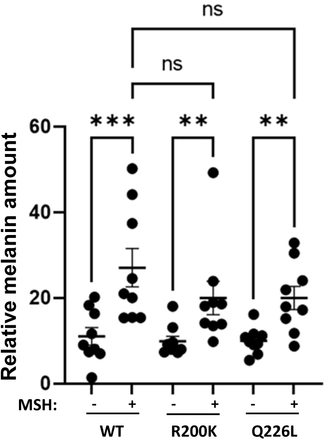 Supplementary Fig. 8: