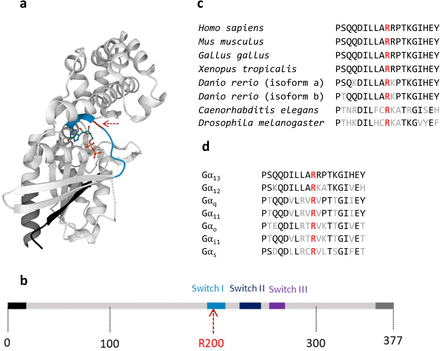 Fig. 2:
