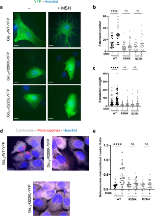Fig. 7: