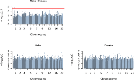 Figure 5: