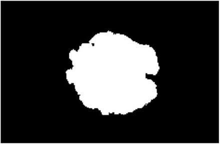 Figure 10: