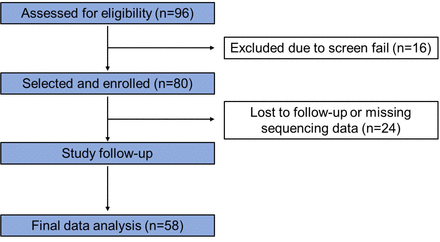 Figure 1:
