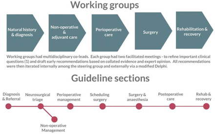 Figure 1: