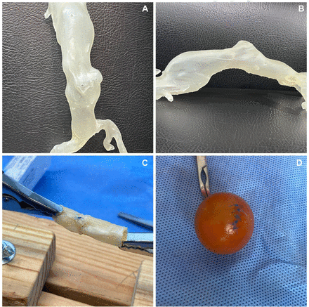 Fig 3.