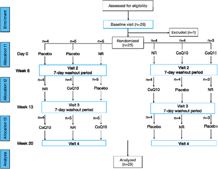 Supplemental Figure 2.