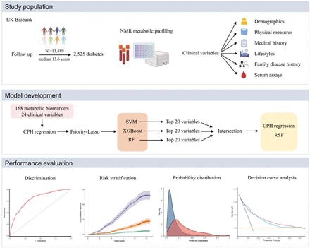 Graphical abstract.