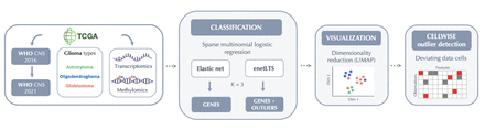 Fig. 1: