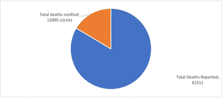 Figure 2a: