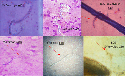 Figure 4: