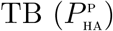 Embedded Image